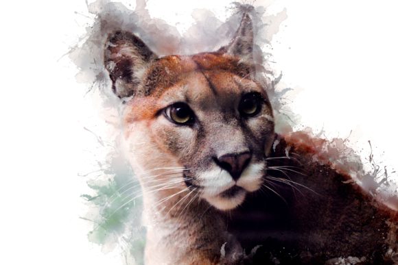 Animal Printables 300 Dpi Pack 04: Instant High-Res Decor