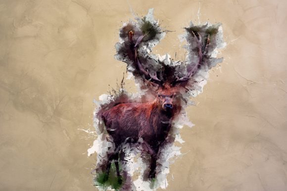 Animal Printables 300 Dpi Pack 10: Instant Safari Style