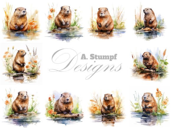 Beaver Clipart Watercolor Animal Bundle: A Creative Toolkit