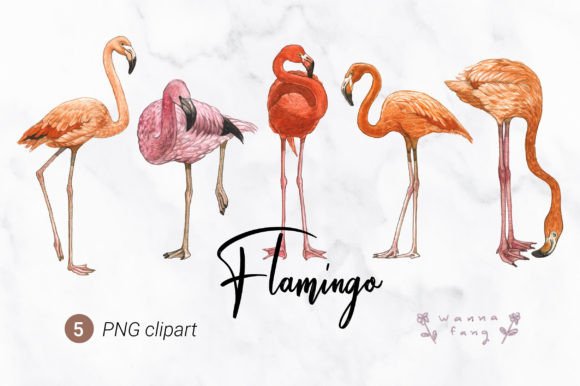 Flamingo Watercolor Animal Clipart: The Perfect Tropical Accent